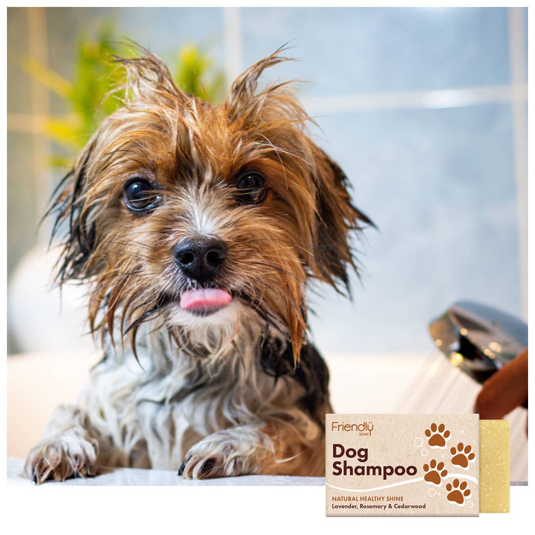 Dog Shampoo Bar – Pest-Repelling & Calming Formula