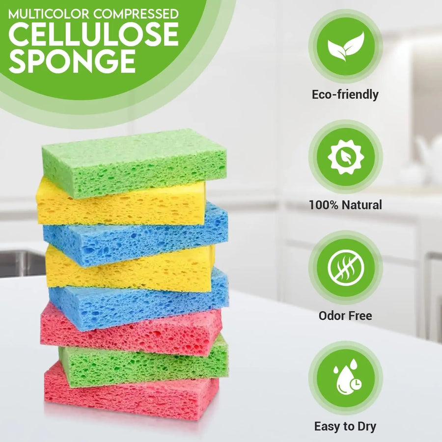 Re:gn Magic Compressed Plant-Based Sponges (5-Pack)