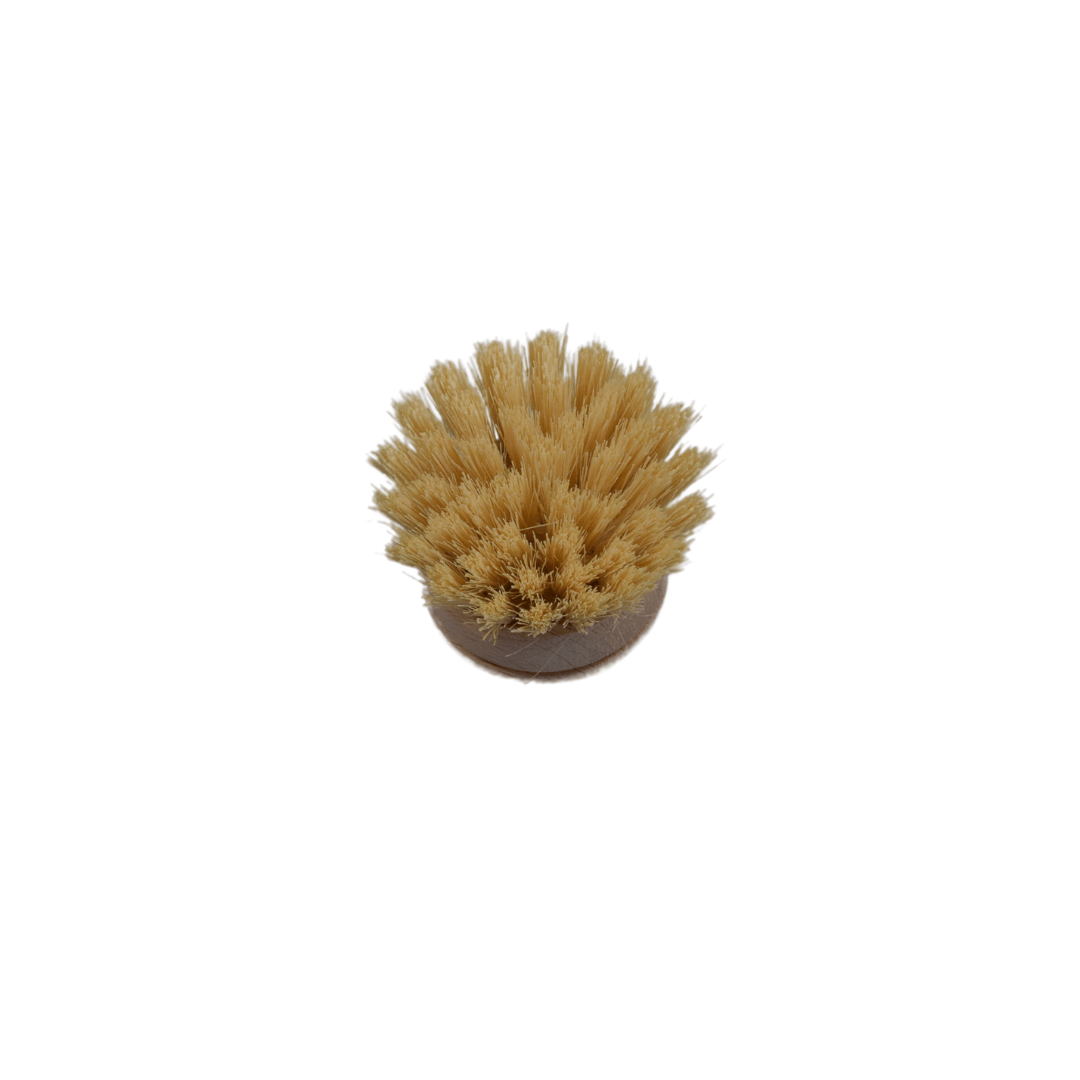 NTFW Plastic Free Dish Brush Replacement Head