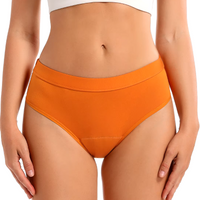 Bikini Style Reusable Period Pants - Biodegradable Bamboo Cotton Period Pants - S to 2XL