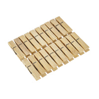 Bamboo Clothes Pegs - Biodegradable & Vegan - 20 Pack