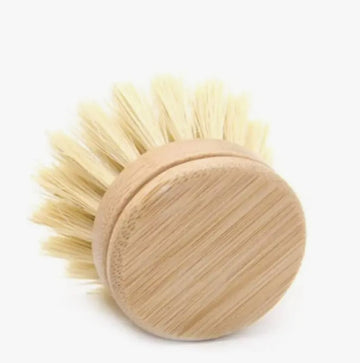 Re:gn Plastic Free Dish Brush Replacement Head